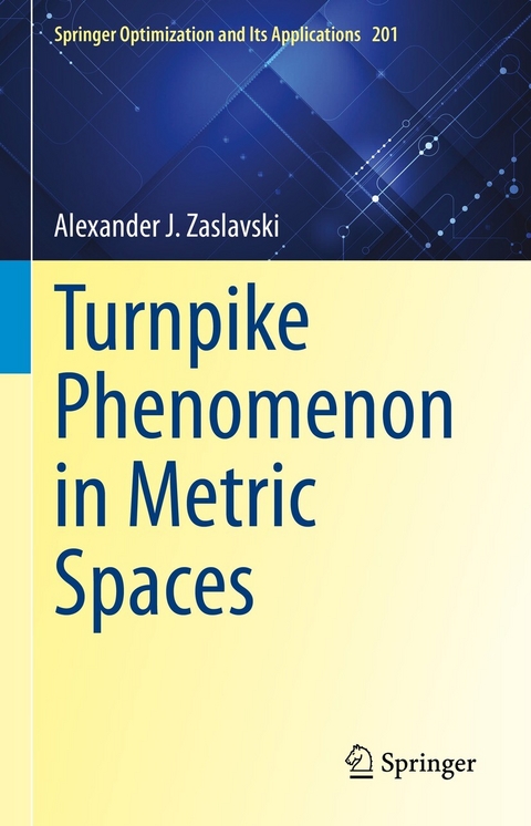 Turnpike Phenomenon in Metric Spaces - Alexander J. Zaslavski