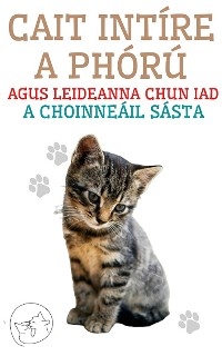 Cait Intíre a Phórú Agus Leideanna Chun iad a Choinneáil Sásta - Edwin Pinto