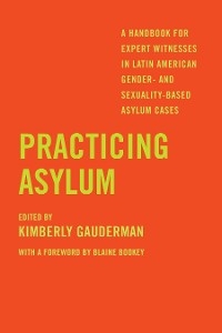 Practicing Asylum - 