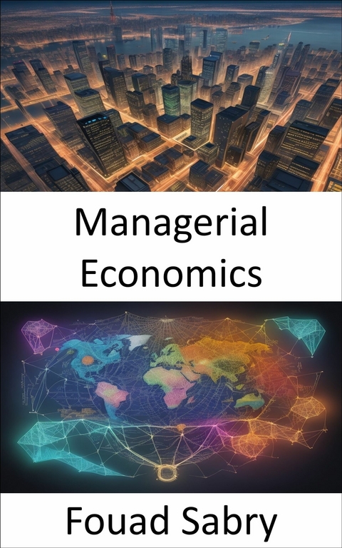 Managerial Economics - Fouad Sabry