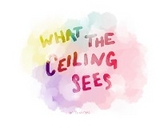 What the Ceiling Sees - Trina Merz