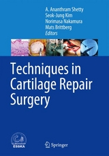 Techniques in Cartilage Repair Surgery - 