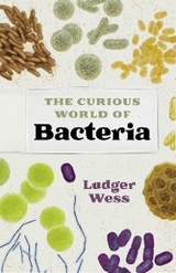 Curious World of Bacteria -  Ludger Wess