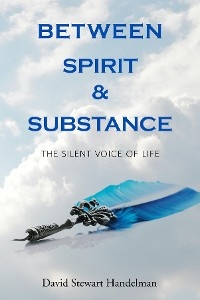 Between Spirit and Substance - David Stewart Handelman