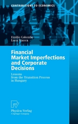 Financial Market Imperfections and Corporate Decisions - Emilio Colombo, Luca Stanca