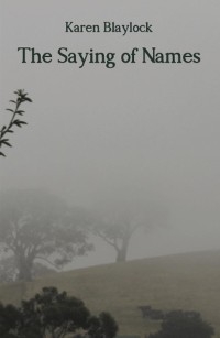 The Saying of Names - Karen Blaylock