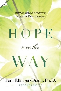 Hope Is On The Way -  Pam Ellinger-Dixon