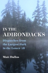 In the Adirondacks -  Matt Dallos