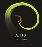 Ants -  Benjamin Blanchard,  Heather Campbell