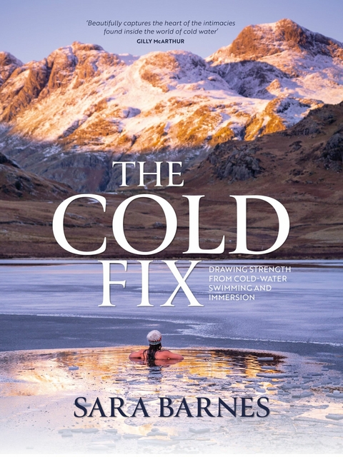 The Cold Fix -  Sara Barnes