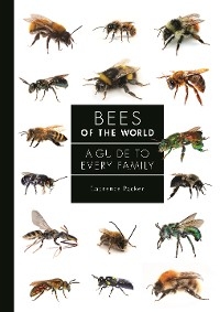 Bees of the World - Laurence Packer