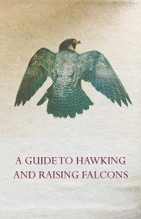 A Guide to Hawking and Raising Falcons - With Chapters on the Language of Hawking, Short Winged Hawks and Hunting with the Gyrfalcon -  ANON