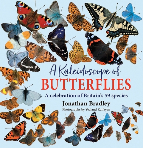 A Kaleidoscope of Butterflies -  Jonathan Bradley