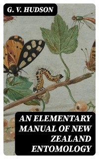 An Elementary Manual of New Zealand Entomology - G. V. Hudson