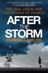 After the Storm - Damian Lawlor