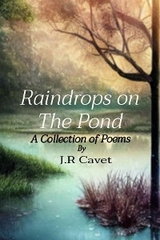 Raindrops on The Pond - J.R Cavet