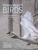 Yellowstone's Birds - 