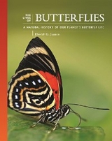 The Lives of Butterflies - David G. James, David J. Lohman