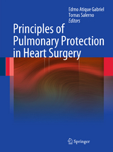 Principles of Pulmonary Protection in Heart Surgery - 