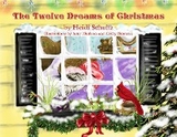 The Twelve Dreams of Christmas - Heidi Schultz