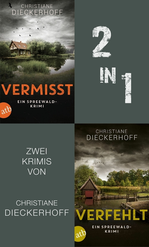 Vermisst & Verfehlt - Christiane Dieckerhoff