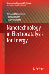 Nanotechnology in Electrocatalysis for Energy - Alessandro Lavacchi, Hamish Miller, Francesco Vizza