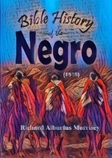 Bible History of the Negro -  Richard Alburtus Morrisey