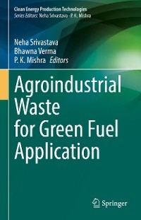 Agroindustrial Waste for Green Fuel Application - 