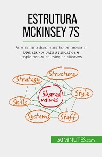 Estrutura McKinsey 7S -  Anastasia Samygin-Cherkaoui