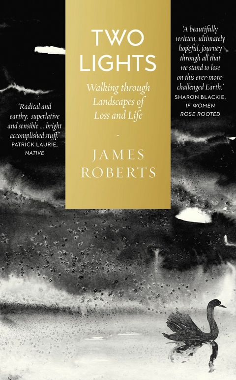 Two Lights - James Roberts