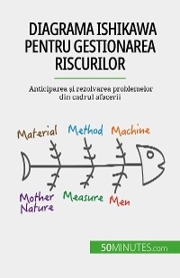 Diagrama Ishikawa pentru gestionarea riscurilor - Ariane de Saeger