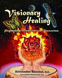 VISIONARY HEALING Psychedelic Medicine and Shamanism - Alexander Shester