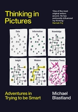 Thinking in Pictures -  Michael Blastland