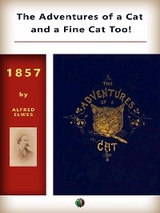 The Adventures of a Cat, and a Fine Cat Too! - Alfred Elwes