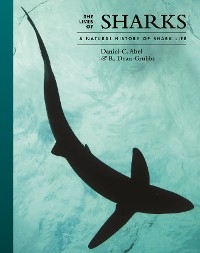 Lives of Sharks -  Daniel Abel,  R. Dean Grubbs