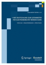 Wie Deutschland zum Leitanbieter für Elektromobilität werden kann - 