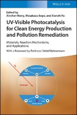 UV-Visible Photocatalysis for Clean Energy Production and Pollution Remediation - 