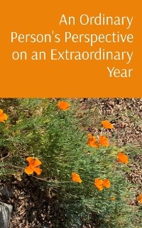 Ordinary Person's Perspective on an Extraordinary Year -  Beth Donovan