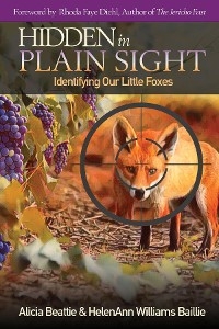 Hidden in Plain Sight - Alicia Beattie, HelenAnn Williams Baillie