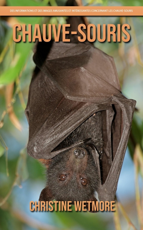 Chauve-Souris – Des Informations et des Images Amusantes et Intéressantes concernant les Chauve-Souris - Christine Wetmore