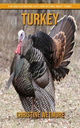 Turkey - Fun and Fascinating Facts and Pictures About Turkey - Christine Wetmore