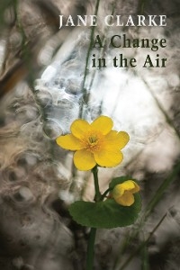 A Change in the Air - Jane Clarke