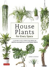 House Plants for Every Space -  Green Interior