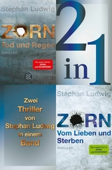 Tod und Regen / Vom Lieben und Sterben - Zwei Zorn-Thriller in einem Band -  Stephan Ludwig