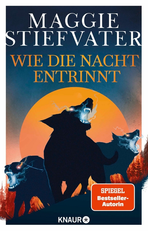 Wie die Nacht entrinnt -  Maggie Stiefvater