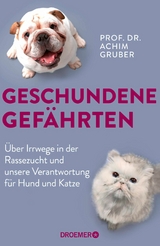 Geschundene Gefährten -  Prof. Dr. Achim Gruber