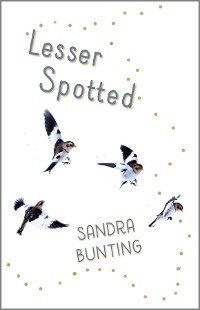 Lesser Spotted - Sandra Bunting