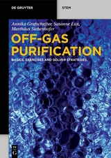 Off-Gas Purification - Annika Grafschafter, Susanne Lux, Matthäus Siebenhofer