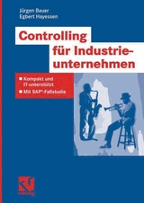 Controlling für Industrieunternehmen - Jürgen Bauer, Egbert Hayessen