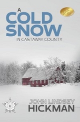 A Cold Snow in Castaway County - John Lindsey Hickman